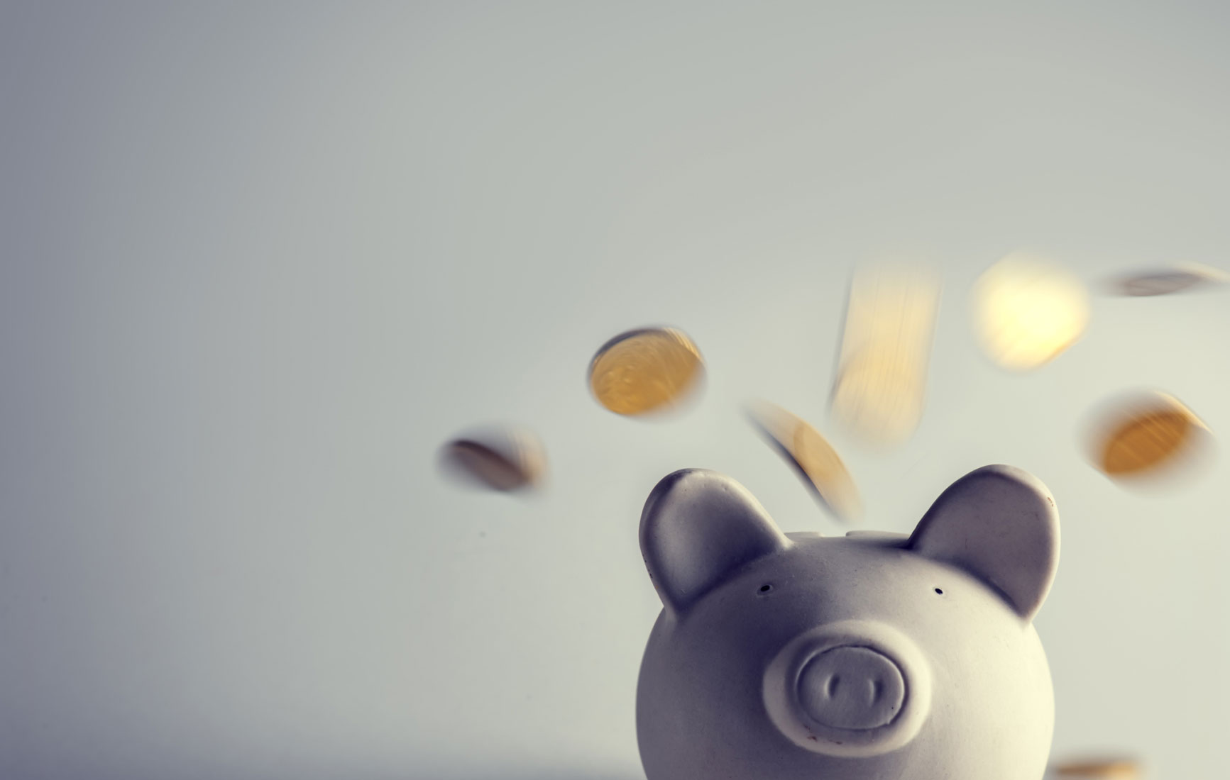 BusinessAccountsVFCU ValleyFederalCreditUnion BrownsvilleCreditUnion HarlingenCreditUnion
