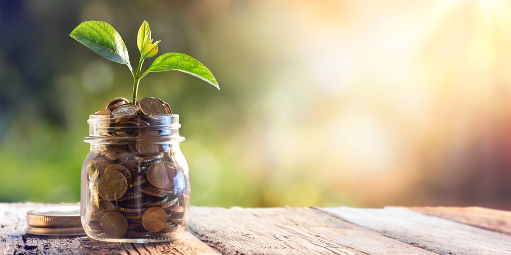 Extra Cash Tips